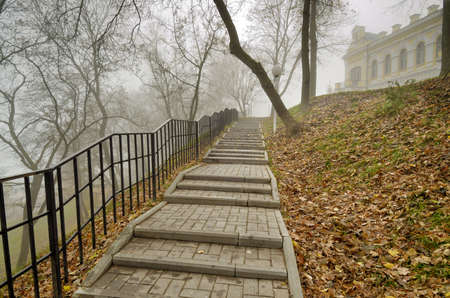 It's late autumn outside.の写真素材