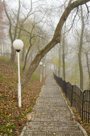 It's late autumn outside.の写真素材
