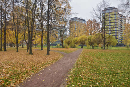 Colorful autumn time.Orange foliage lies on the ground.の写真素材