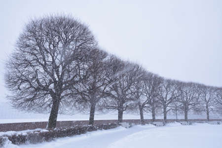 You can't see anything from behind the snow.の写真素材