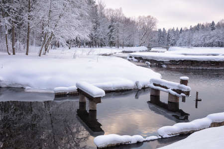 Beautiful winter landscape.The forest is cold and there is snow everywhere.の写真素材