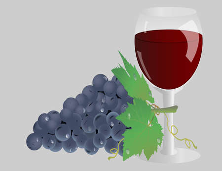 glass of wine and grapes with leaves isolated on a gray backgroundのイラスト素材