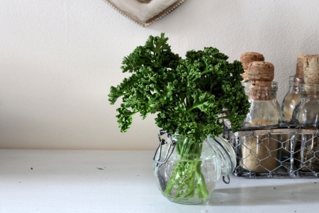 parsley in a jar - vintage style の写真素材