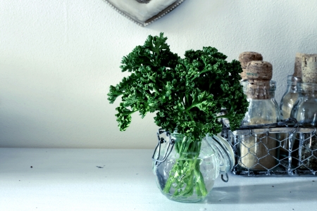 parsley in a jar - vintage style の写真素材