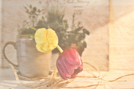 tulips in a cup - vintage の写真素材