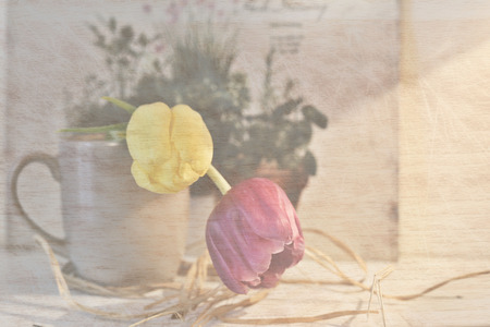 tulips in a cup - vintage の写真素材