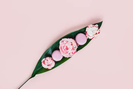 Pink background with peonies and macaroons in the center of the leaf.