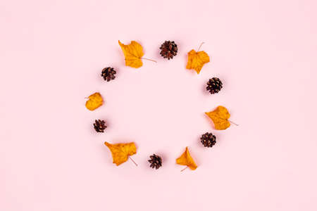 Autumn composition. Circle made of dried leaves, anise on a pink background. Fall concept. Flat lay, top view, copy space.の写真素材