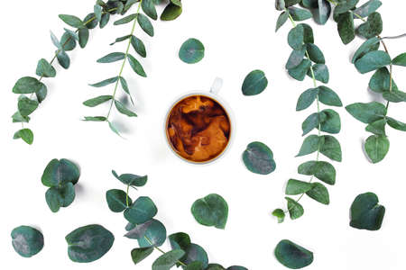 Isolated white background with a Cup of coffee surrounded by eucalyptus. Flat lay, top view.