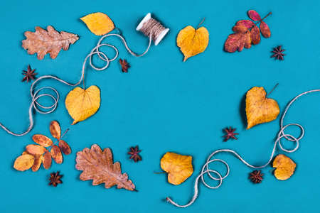 Autumn composition. Different dry leaves on turquoise isolated background. Flat lay, top view.