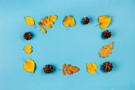Autumn, fall composition. Different dry leaves on turquoise background. Flat lay, top view.の写真素材