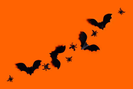 Halloween and decoration concept - orange background with spiders, bats. Flat lay, top view. Place...