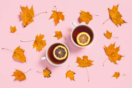 Pink background with two cups of tea and lemons surrounded by orange maple leaves. Flat lay, top view.の写真素材