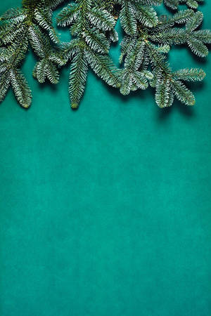 New year Christmas concert. Green background with fir brunches. Flat lay, top view, copy space.の写真素材