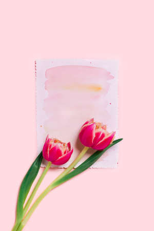 A greeting card with a place for text and tulips as a gift for Mother's Day, Valentine's Day, wedding or anniversary.の写真素材