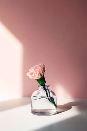 Spring and summer picture with blossom flowers in vase.の写真素材