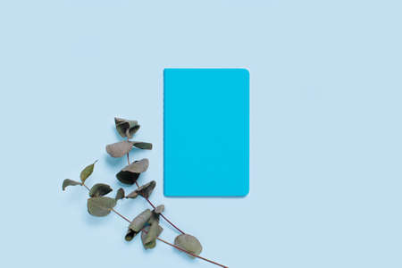 Sprigs of eucalyptus on blue background with notepad.の写真素材
