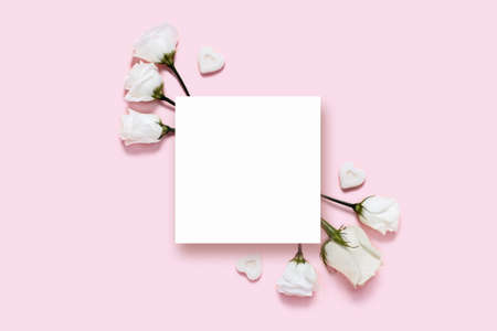 Holiday card. Pink background with sheet of white paper and roses.