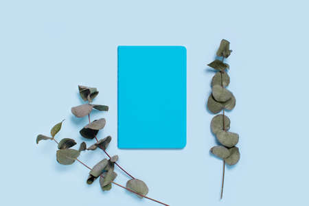 Sprigs of eucalyptus on blue background with notepad.の写真素材