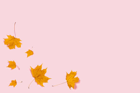 Web banner with a glass spray bottle on a white background surrounded by a lavender bouquet and the...