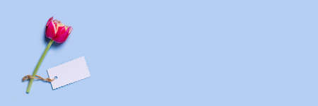 Web banner with a glass spray bottle on a white background surrounded by a lavender bouquet and the crystal of quartz.の写真素材