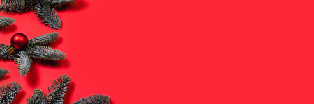 Banner with red Christmas balls on fir branches. Color background with space for text.の写真素材