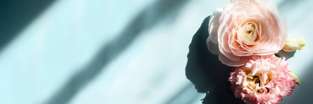 Web banner with ranunculus and rose on blue background in the sunlight.の写真素材