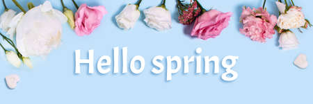 Web banner with roses, ranunculus, and pieces of sugar in the form of hearts and the inscription Hello Springの写真素材