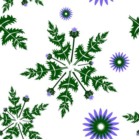 Seamless pattern on white background, seamless pattern with Thistle flowers. Pattern of flowers.のイラスト素材
