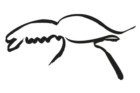 Black silhouette of a cancer animal on a white backgroundのイラスト素材