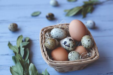wicker basket with quail and compartment eggs on a gray wooden background. happy easterの写真素材