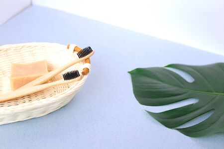 The concept of zero waste. bamboo toothbrush, solid shampoo and manstera sheet.の写真素材