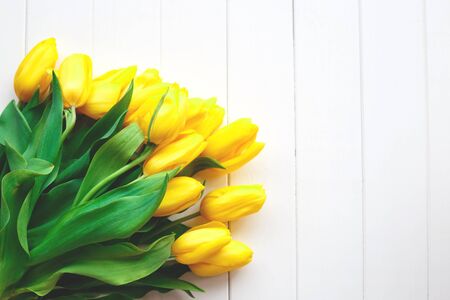 Beautiful fresh spring tulips on a white background. flat lay.の写真素材