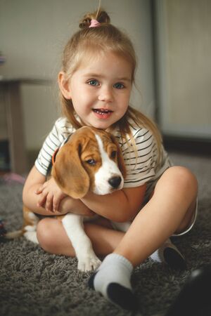 little girl hugs a cute beagle puppy.の写真素材