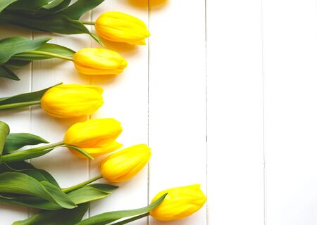 Beautiful fresh spring tulips on a white background. flat lay.の写真素材