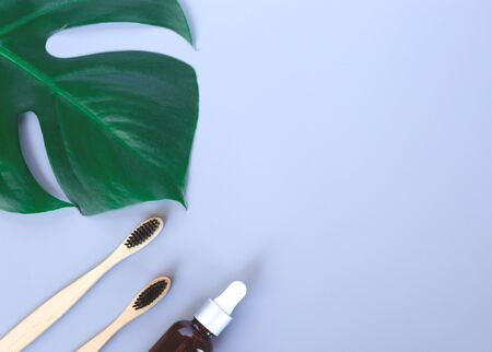 The concept of zero waste. bamboo toothbrush and monstera leaf.の写真素材