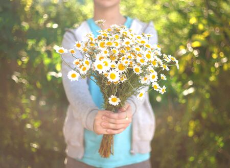 guy holds in his hands a bouquet of field daisies.の写真素材