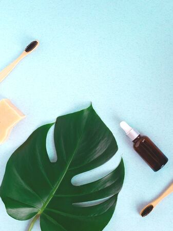The concept of zero waste. bamboo toothbrush, solid shampoo and manstera branch.の写真素材