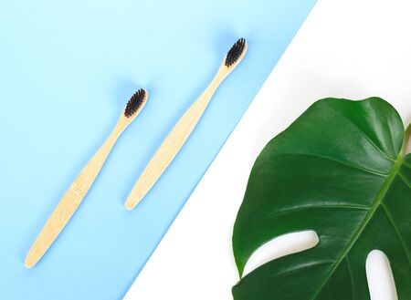 The concept of zero waste. bamboo toothbrush on a manstera leaf. flat layの写真素材