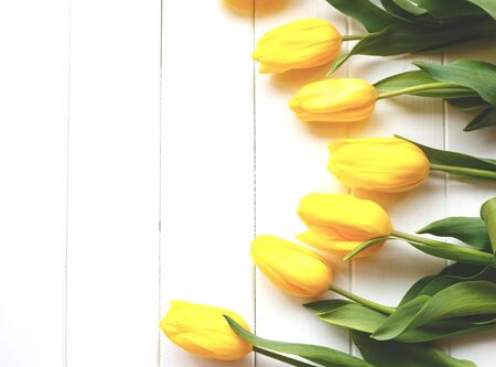 Beautiful fresh spring tulips on a white background. flat lay.の写真素材