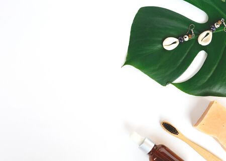 The concept of zero waste. bamboo toothbrush and monstera leaf.の写真素材