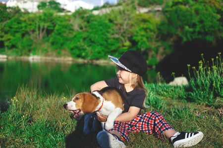little girl hugs a cute beagle puppy.の写真素材