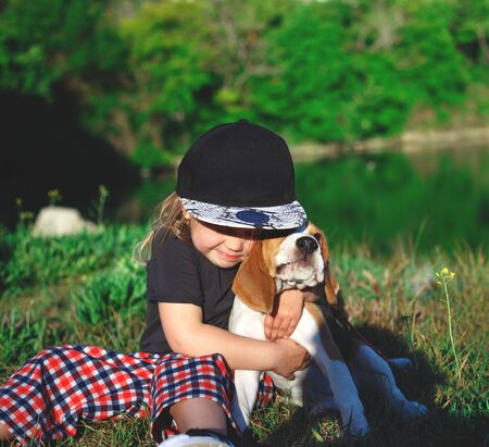 little girl hugs a cute beagle puppy.の写真素材