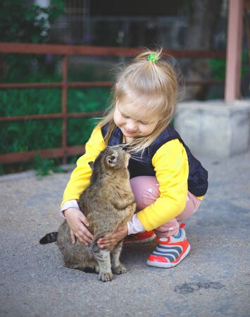 Little cute girl hugs a gray cat.の写真素材