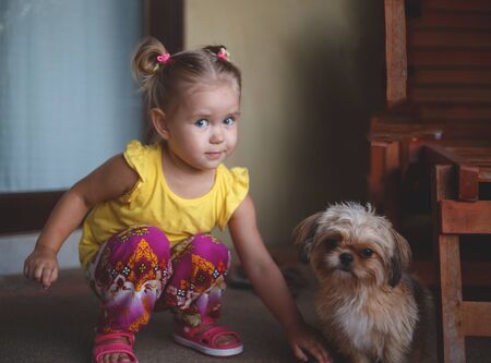 little girl hugs a cute little puppy.の写真素材
