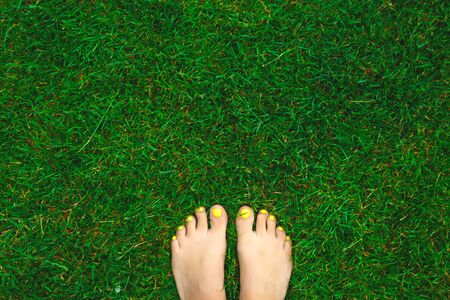 female legs on a fresh green lawn.の写真素材