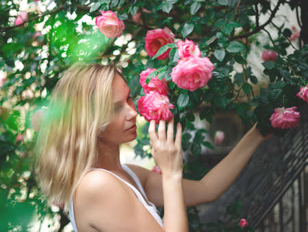 blond woman smiling in a flowering bush of pink roses.の写真素材