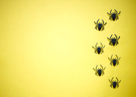 set of accessories for halloween celebration.の写真素材