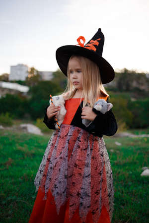 little girl dressed as a witch celebrates halloween.の写真素材