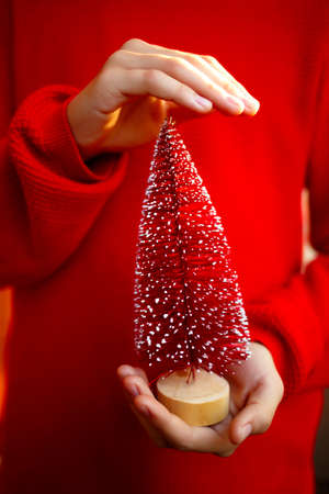 small christmas tree in the hands of a child on a red background.の写真素材
